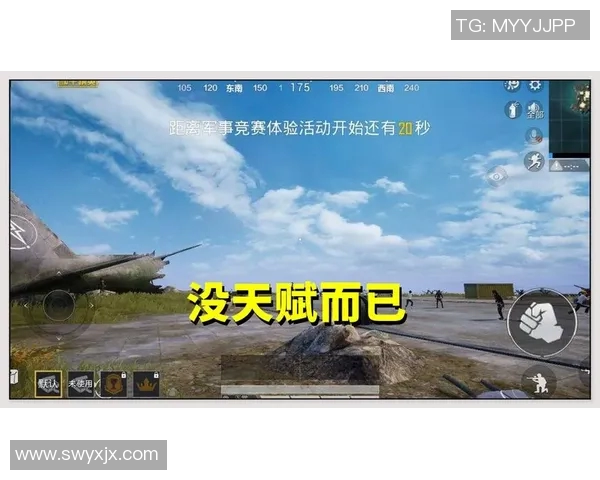 esports最新数据陈芳专访回顾和平精英成长历程与未来展望分析